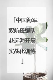 中国海军双航母编队赴远海开展实战化训练