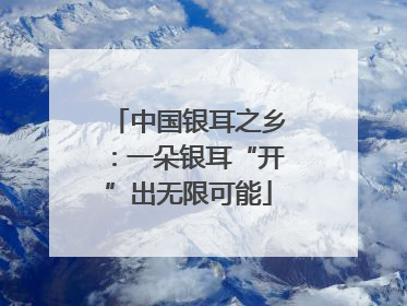 中国银耳之乡：一朵银耳“开”出无限可能