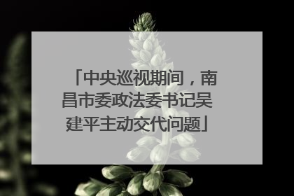 中央巡视期间，南昌市委政法委书记吴建平主动交代问题