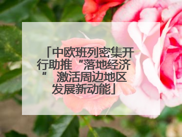 中欧班列密集开行助推“落地经济” 激活周边地区发展新动能