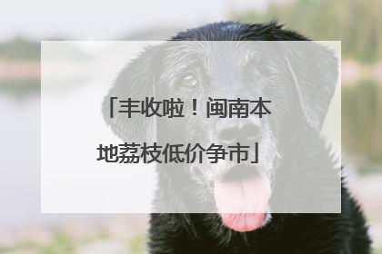 丰收啦！闽南本地荔枝低价争市