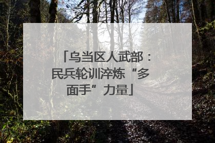 乌当区人武部：民兵轮训淬炼“多面手”力量