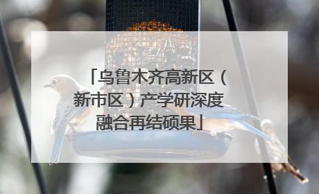 乌鲁木齐高新区（新市区）产学研深度融合再结硕果