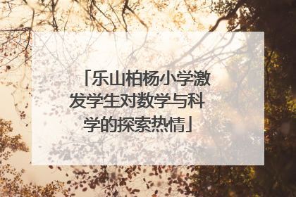 乐山柏杨小学激发学生对数学与科学的探索热情