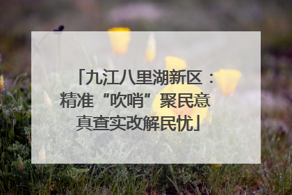 九江八里湖新区：精准“吹哨”聚民意 真查实改解民忧