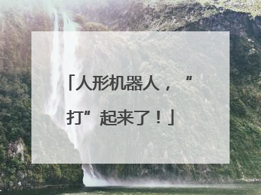 人形机器人，“打”起来了！