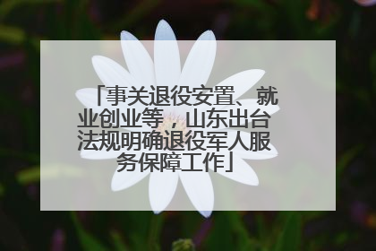 事关退役安置、就业创业等，山东出台法规明确退役军人服务保障工作