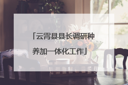 云霄县县长调研种养加一体化工作