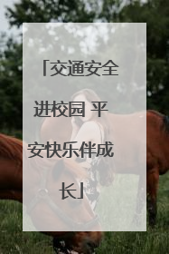 交通安全进校园 平安快乐伴成长