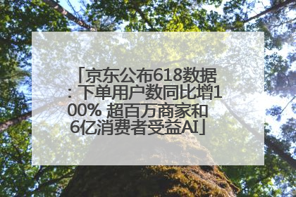 京东公布618数据：下单用户数同比增100% 超百万商家和6亿消费者受益AI