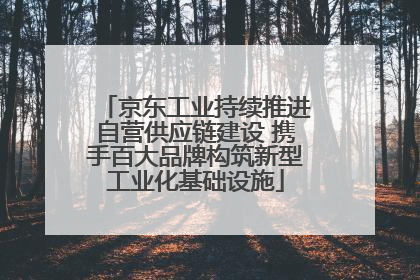 京东工业持续推进自营供应链建设 携手百大品牌构筑新型工业化基础设施