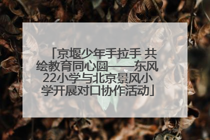 京堰少年手拉手 共绘教育同心圆——东风22小学与北京景风小学开展对口协作活动
