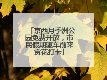 京西月季洲公园免费开放，市民假期驱车前来赏花打卡
