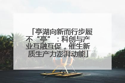 亭湖向新而行步履不“亭”：科创与产业互融互促，催生新质生产力澎湃动能