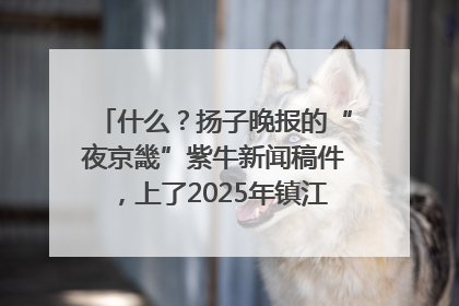 什么？扬子晚报的“夜京畿”紫牛新闻稿件，上了2025年镇江中考模拟卷！