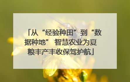 从“经验种田”到“数据种地” 智慧农业为夏粮丰产丰收保驾护航