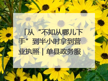 从“不知从哪儿下手”到半小时拿到营业执照｜单县政务服务与群众期待的“双向奔赴”