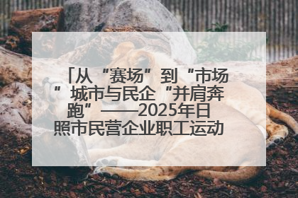 从“赛场”到“市场”城市与民企“并肩奔跑”——2025年日照市民营企业职工运动会亮点观察