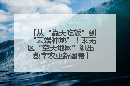 从“靠天吃饭”到“云端种地”！莱芜区“空天地网”织出数字农业新图景
