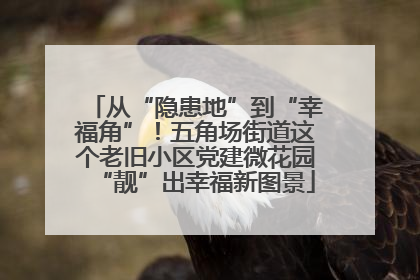 从“隐患地”到“幸福角”！五角场街道这个老旧小区党建微花园“靓”出幸福新图景