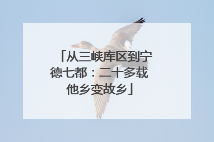 从三峡库区到宁德七都：二十多载他乡变故乡