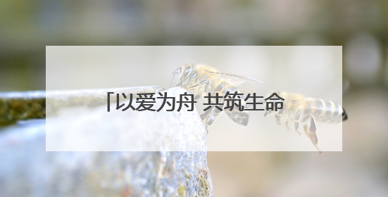 以爱为舟 共筑生命港湾——济南市中心医院中心院区产科助力孕博会温情纪实