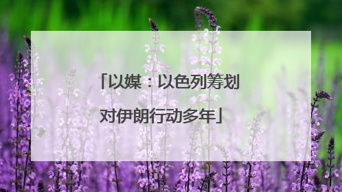 以媒：以色列筹划对伊朗行动多年
