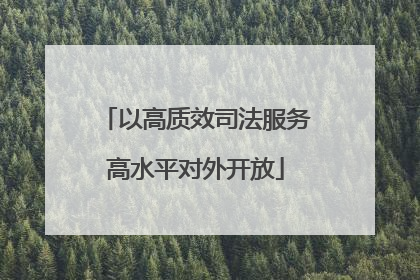 以高质效司法服务高水平对外开放