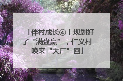 伴村成长④丨规划好了“满盘赢”，仁义村唤来“大厂”回