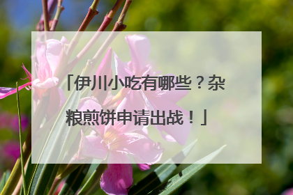 伊川小吃有哪些？杂粮煎饼申请出战！