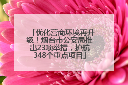 优化营商环境再升级！烟台市公安局推出23项举措，护航348个重点项目