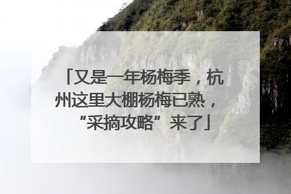 又是一年杨梅季，杭州这里大棚杨梅已熟，“采摘攻略”来了