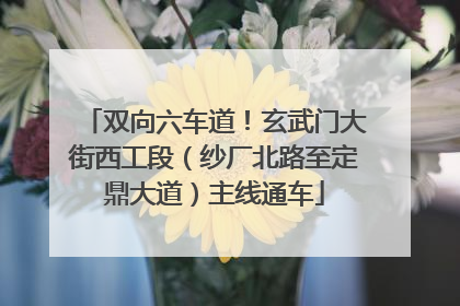 双向六车道！玄武门大街西工段（纱厂北路至定鼎大道）主线通车