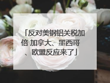 反对美钢铝关税加倍 加拿大、墨西哥、欧盟反应来了