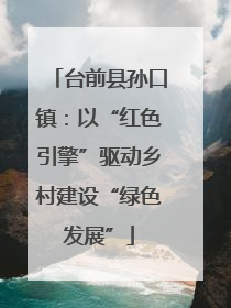 台前县孙口镇：以“红色引擎”驱动乡村建设“绿色发展”