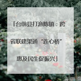 台前县打渔陈镇：跨省联建架通“连心桥” 惠及民生促振兴