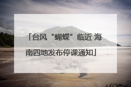 台风“蝴蝶”临近 海南四地发布停课通知