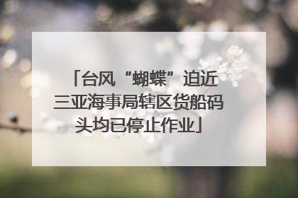 台风“蝴蝶”迫近 三亚海事局辖区货船码头均已停止作业