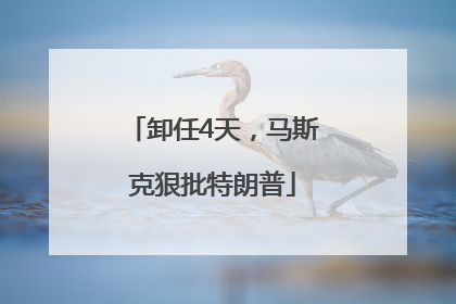 卸任4天，马斯克狠批特朗普