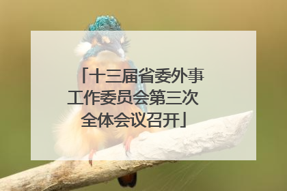 十三届省委外事工作委员会第三次全体会议召开