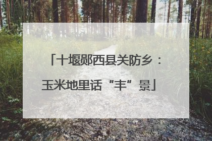 十堰郧西县关防乡：玉米地里话“丰”景