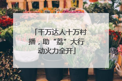 千万达人十万村播，助“荔”大行动火力全开