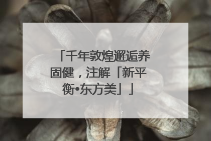 千年敦煌邂逅养固健，注解「新平衡•东方美」