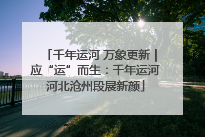 千年运河 万象更新｜应“运”而生：千年运河河北沧州段展新颜