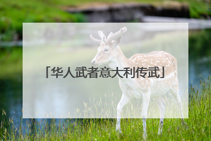 华人武者意大利传武