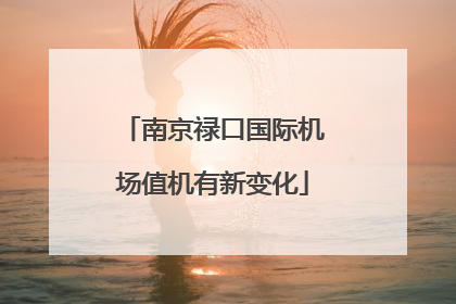 南京禄口国际机场值机有新变化