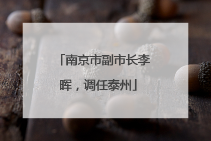 南京市副市长李晖，调任泰州