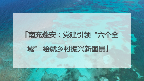 南充蓬安：党建引领“六个全域” 绘就乡村振兴新图景