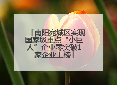 南阳宛城区实现国家级重点“小巨人”企业零突破1家企业上榜