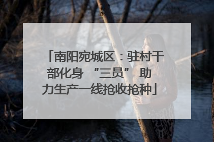 南阳宛城区：驻村干部化身 “三员” 助力生产一线抢收抢种